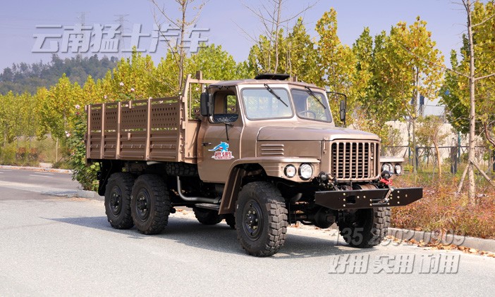 EQ2082,香檳色卡車(chē),東風(fēng)出口車(chē),東風(fēng)卡車(chē)廠家直銷(xiāo),專(zhuān)用貨車(chē),東風(fēng)六驅(qū)